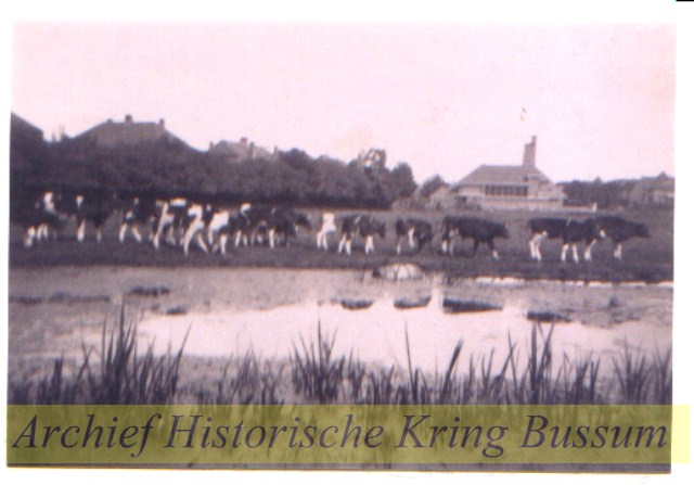 Oud-Bussummerweg Oud-Bussummerweg
